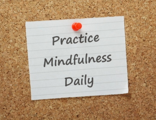 The Mindfulness Habit